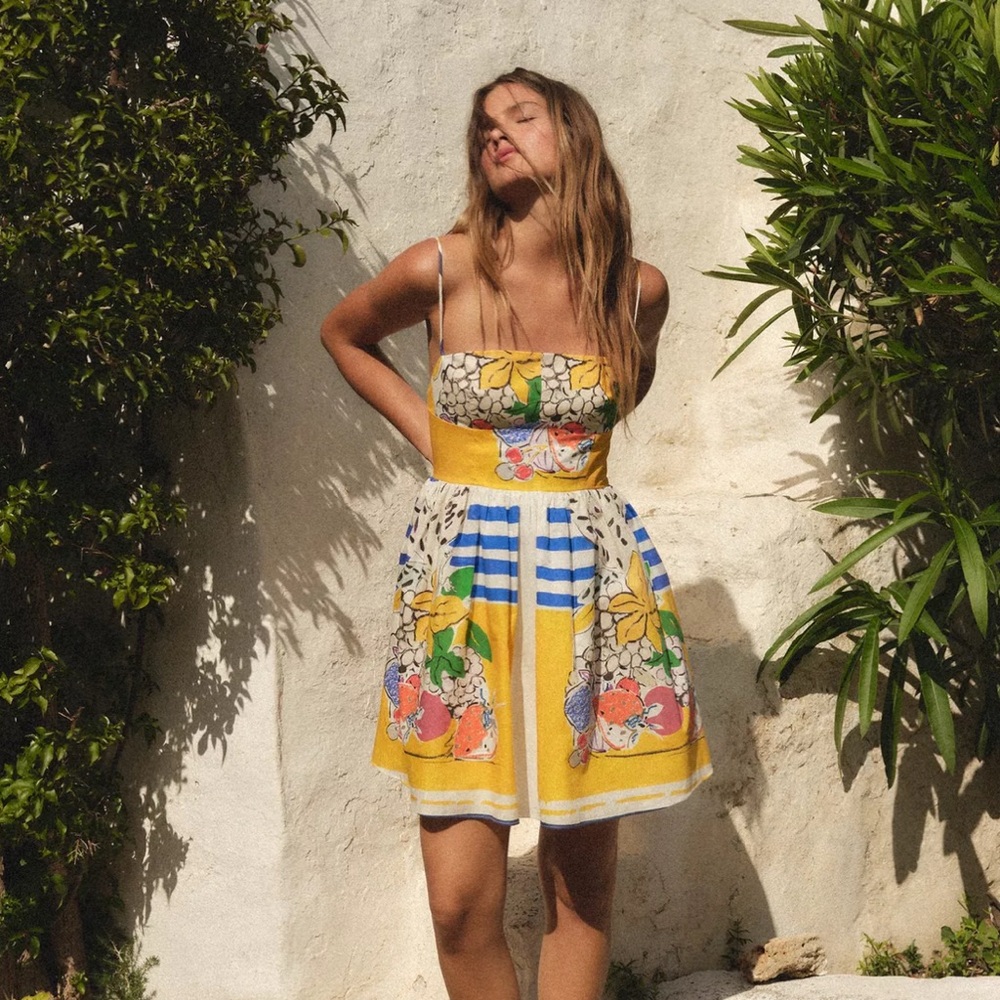 ZARA Fruit Poplin Dress